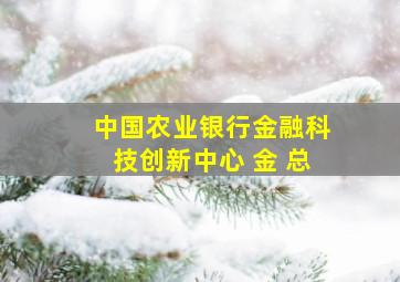 中国农业银行金融科技创新中心 金 总